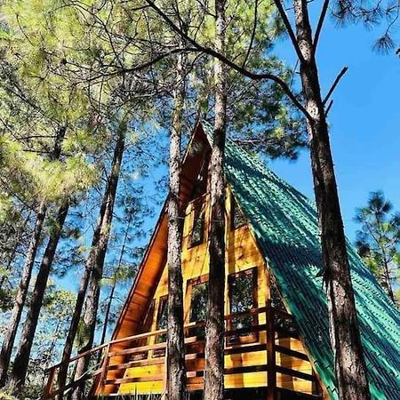 Cabana Nueva En El Bosque Y Cerca Al Rio Starlink Villa San Mateo Rio Hondo Dış mekan fotoğraf