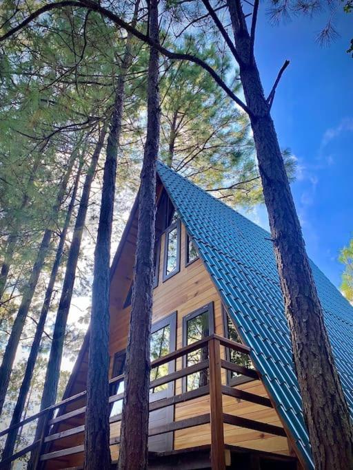 Cabana Nueva En El Bosque Y Cerca Al Rio Starlink Villa San Mateo Rio Hondo Dış mekan fotoğraf