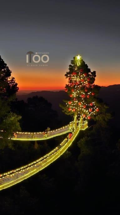 Cabana Nueva En El Bosque Y Cerca Al Rio Starlink Villa San Mateo Rio Hondo Dış mekan fotoğraf