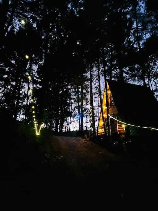 Cabana Nueva En El Bosque Y Cerca Al Rio Starlink Villa San Mateo Rio Hondo Dış mekan fotoğraf