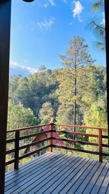 Cabana Nueva En El Bosque Y Cerca Al Rio Starlink Villa San Mateo Rio Hondo Dış mekan fotoğraf