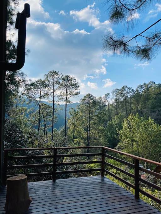 Cabana Nueva En El Bosque Y Cerca Al Rio Starlink Villa San Mateo Rio Hondo Dış mekan fotoğraf