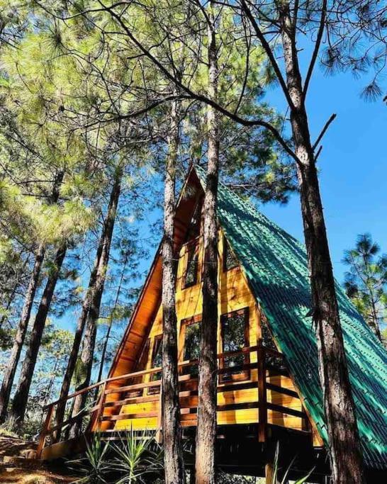 Cabana Nueva En El Bosque Y Cerca Al Rio Starlink Villa San Mateo Rio Hondo Dış mekan fotoğraf