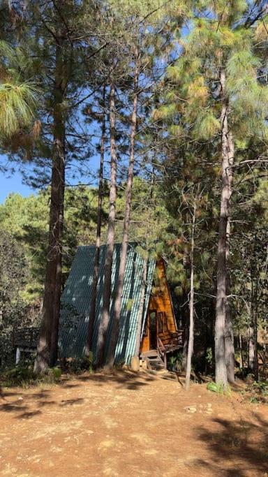 Cabana Nueva En El Bosque Y Cerca Al Rio Starlink Villa San Mateo Rio Hondo Dış mekan fotoğraf