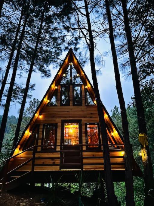 Cabana Nueva En El Bosque Y Cerca Al Rio Starlink Villa San Mateo Rio Hondo Dış mekan fotoğraf