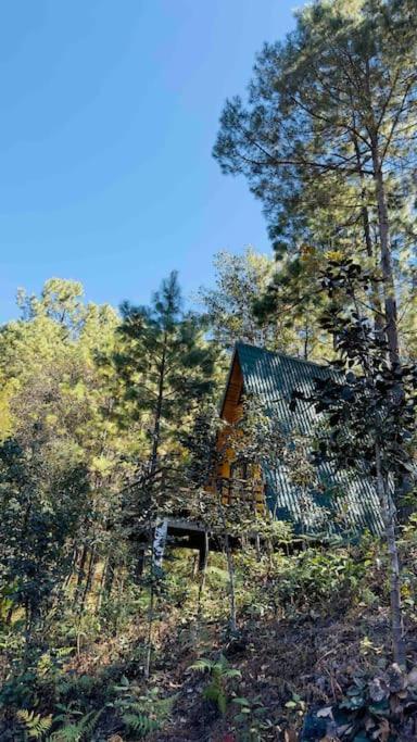 Cabana Nueva En El Bosque Y Cerca Al Rio Starlink Villa San Mateo Rio Hondo Dış mekan fotoğraf