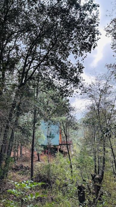 Cabana Nueva En El Bosque Y Cerca Al Rio Starlink Villa San Mateo Rio Hondo Dış mekan fotoğraf