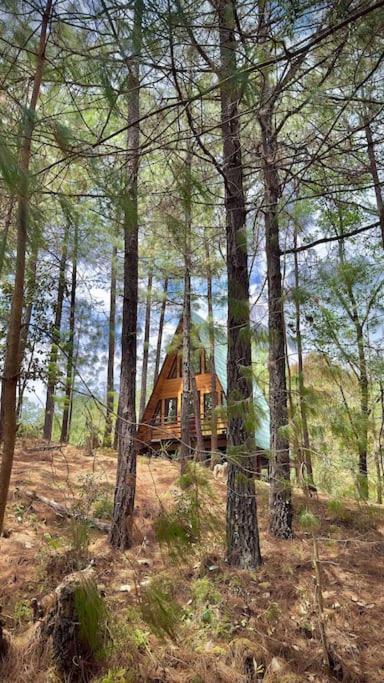 Cabana Nueva En El Bosque Y Cerca Al Rio Starlink Villa San Mateo Rio Hondo Dış mekan fotoğraf