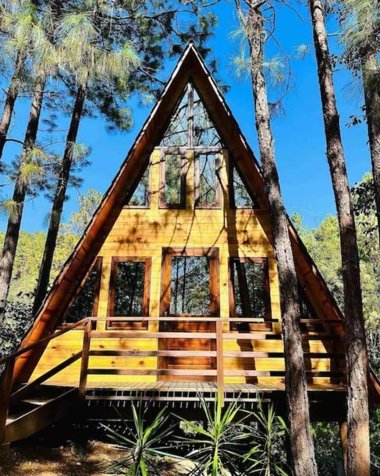 Cabana Nueva En El Bosque Y Cerca Al Rio Starlink Villa San Mateo Rio Hondo Dış mekan fotoğraf